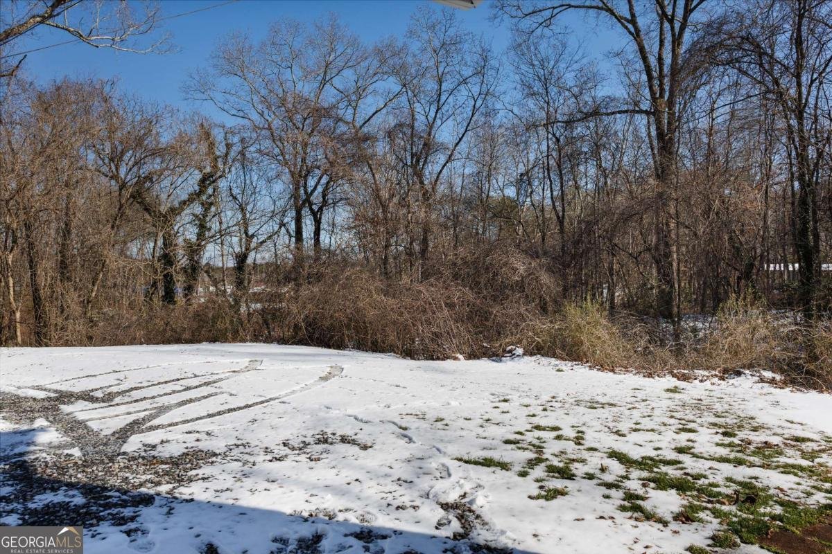 125 Jones Street Blue Ridge - Photo 22