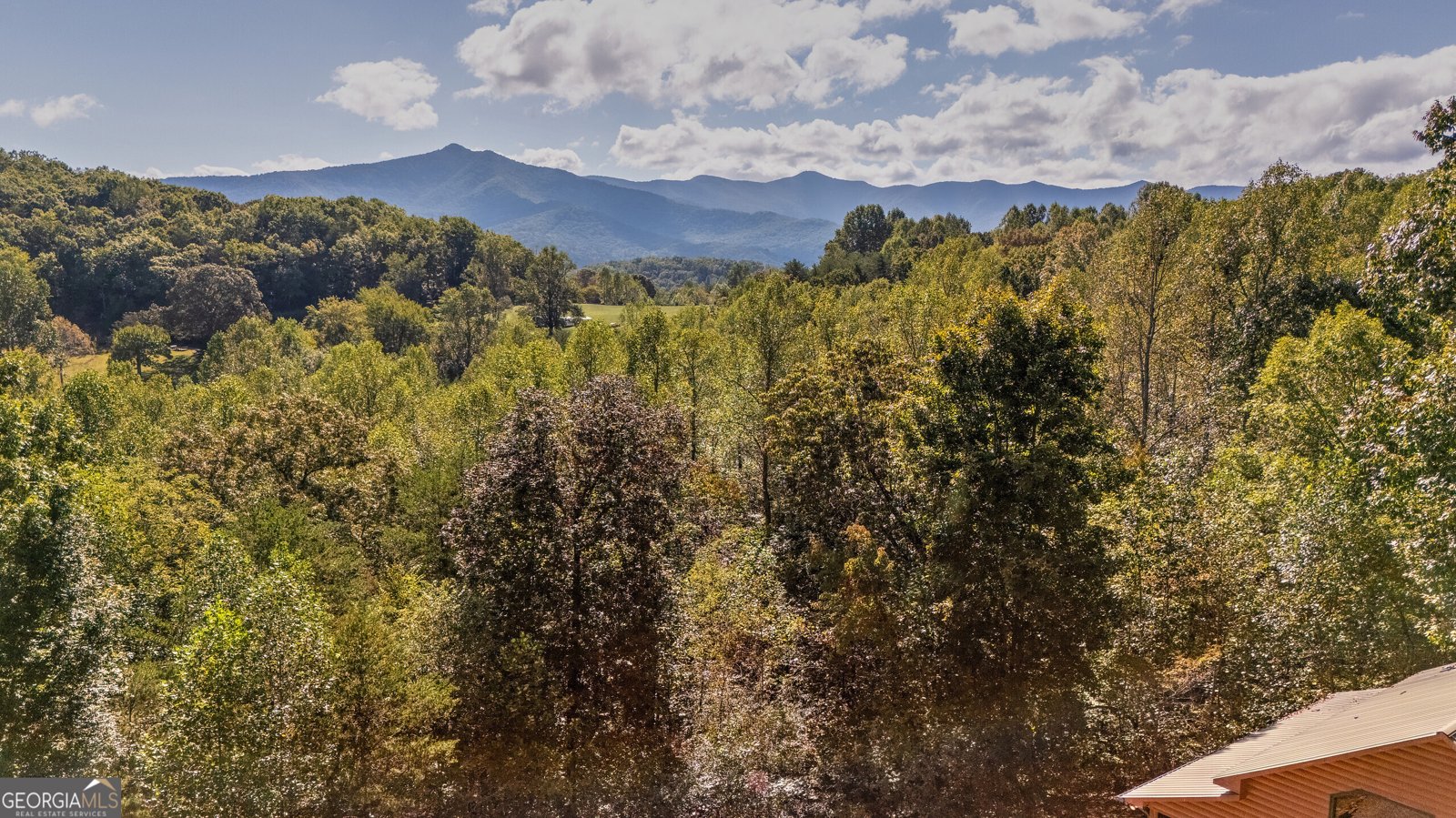 314 Ruby Ridge Drive Young Harris - Photo 36