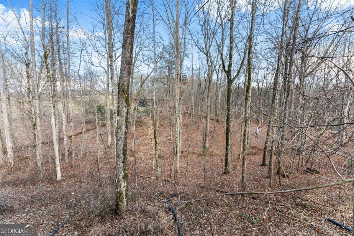 6019 Old Howser Mill Road Gainesville - Photo 34