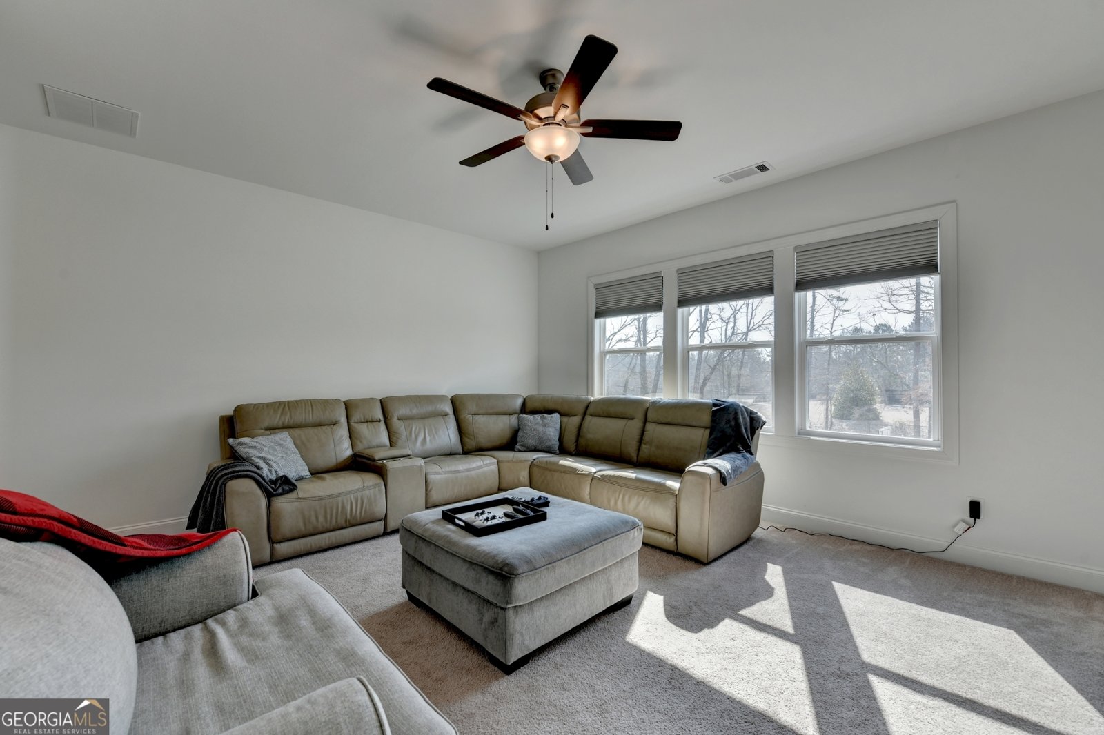 866 Champagne Lane Hoschton - Photo 72