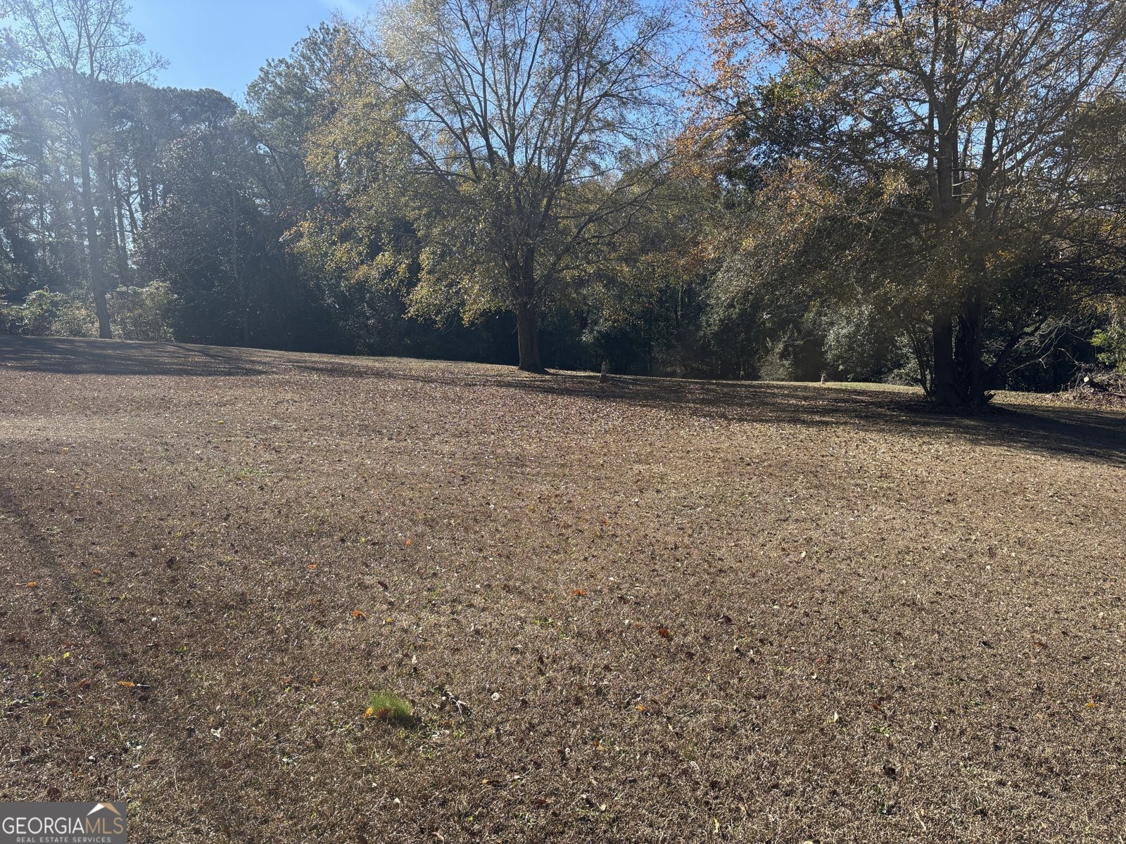 3816 Log Cabin Drive Macon - Photo 1