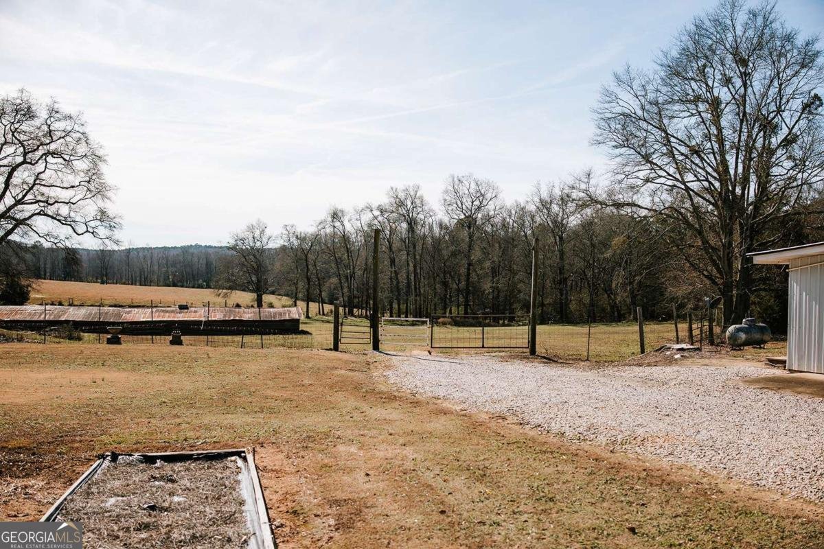 520 Park Avenue Crawford - Photo 10