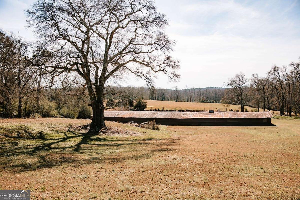 520 Park Avenue Crawford - Photo 41