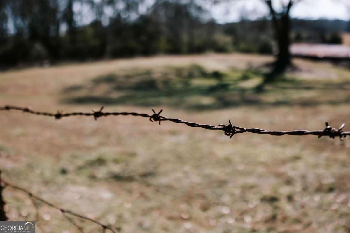 520 Park Avenue Crawford - Photo 51