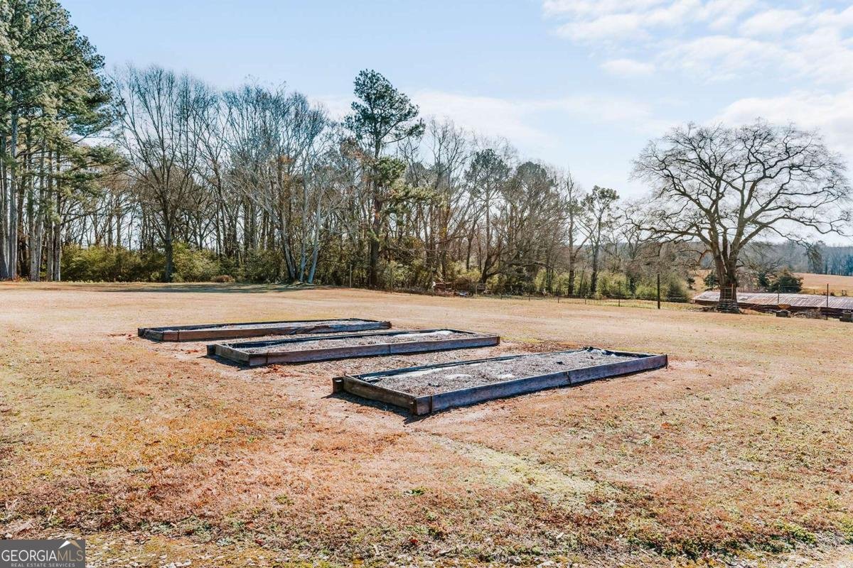 520 Park Avenue Crawford - Photo 56