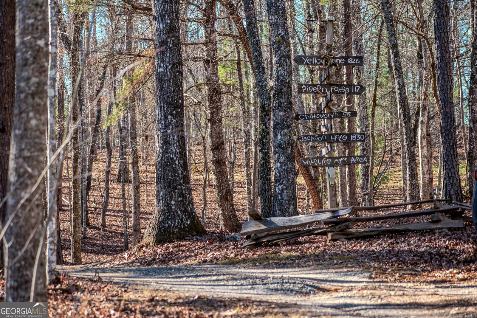 4011 Murphy Highway Mineral Bluff - Photo 43