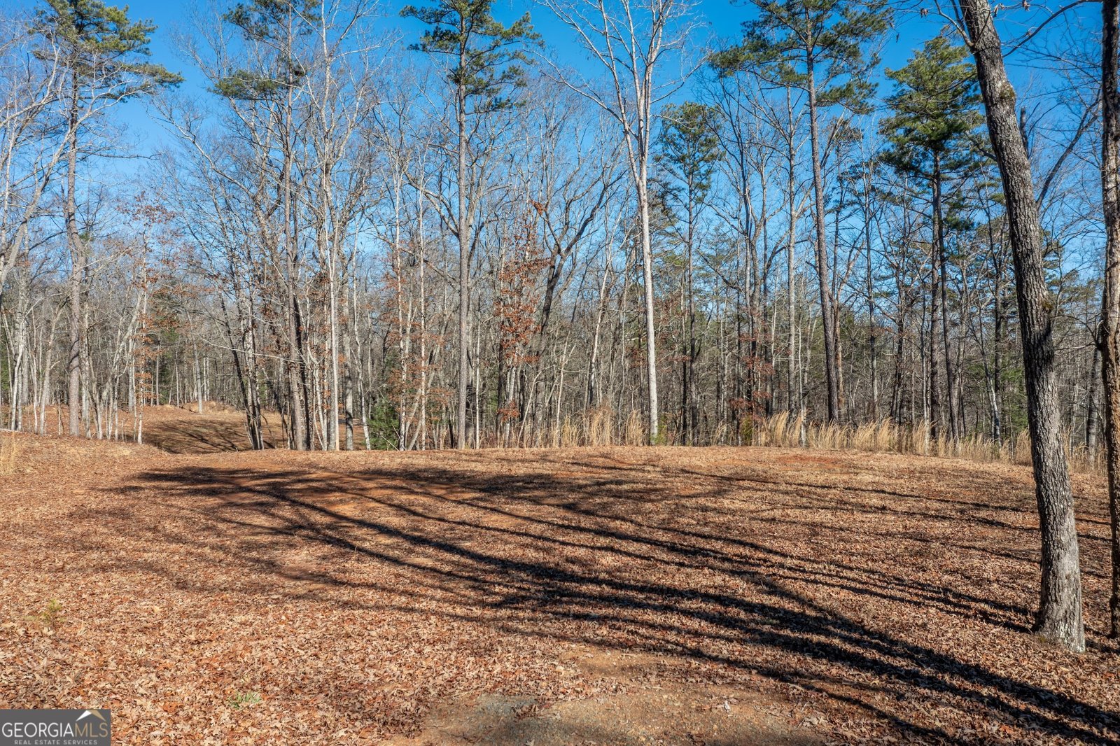 4011 Murphy Highway Mineral Bluff - Photo 69