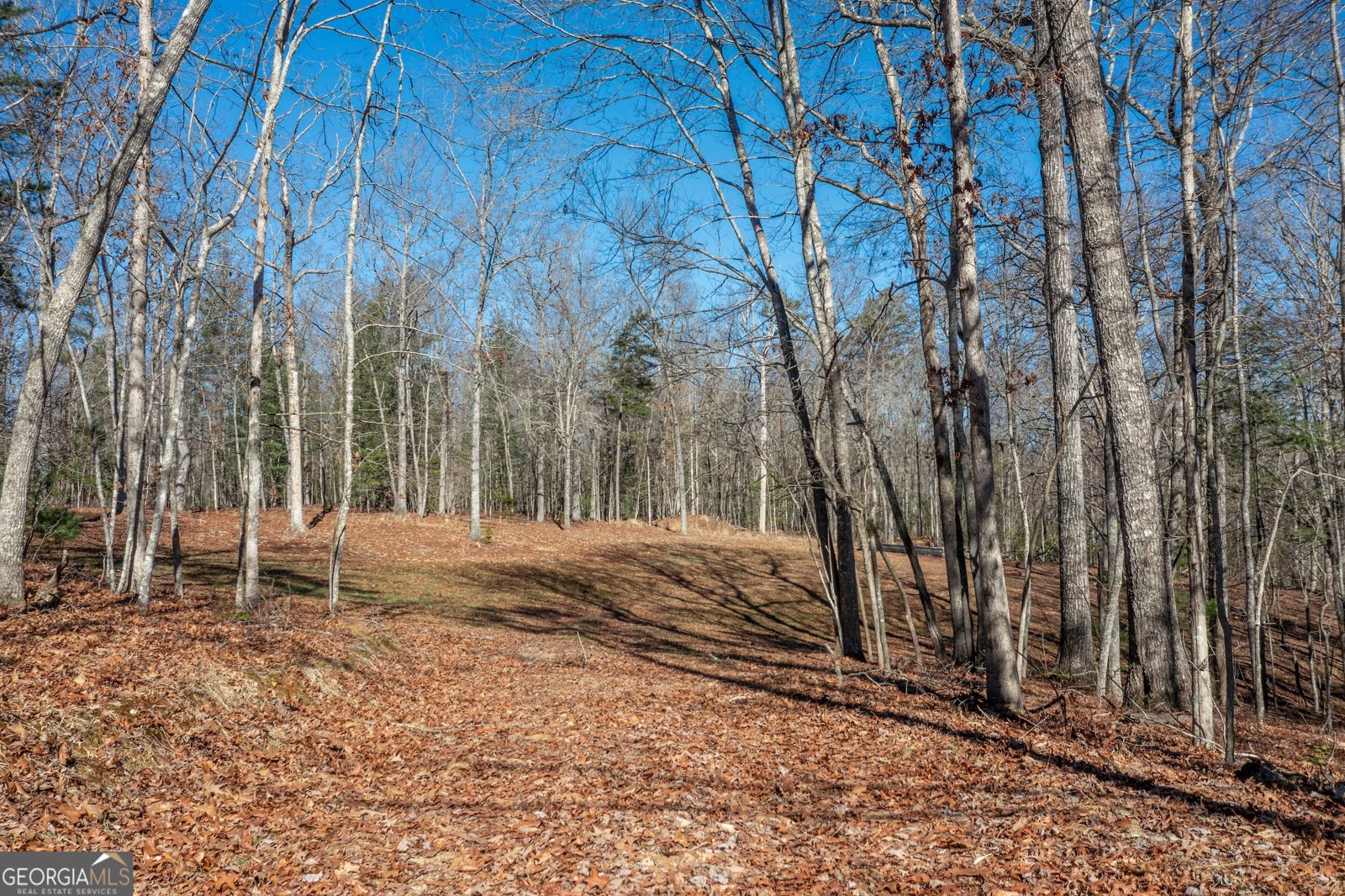 4011 Murphy Highway Mineral Bluff - Photo 72