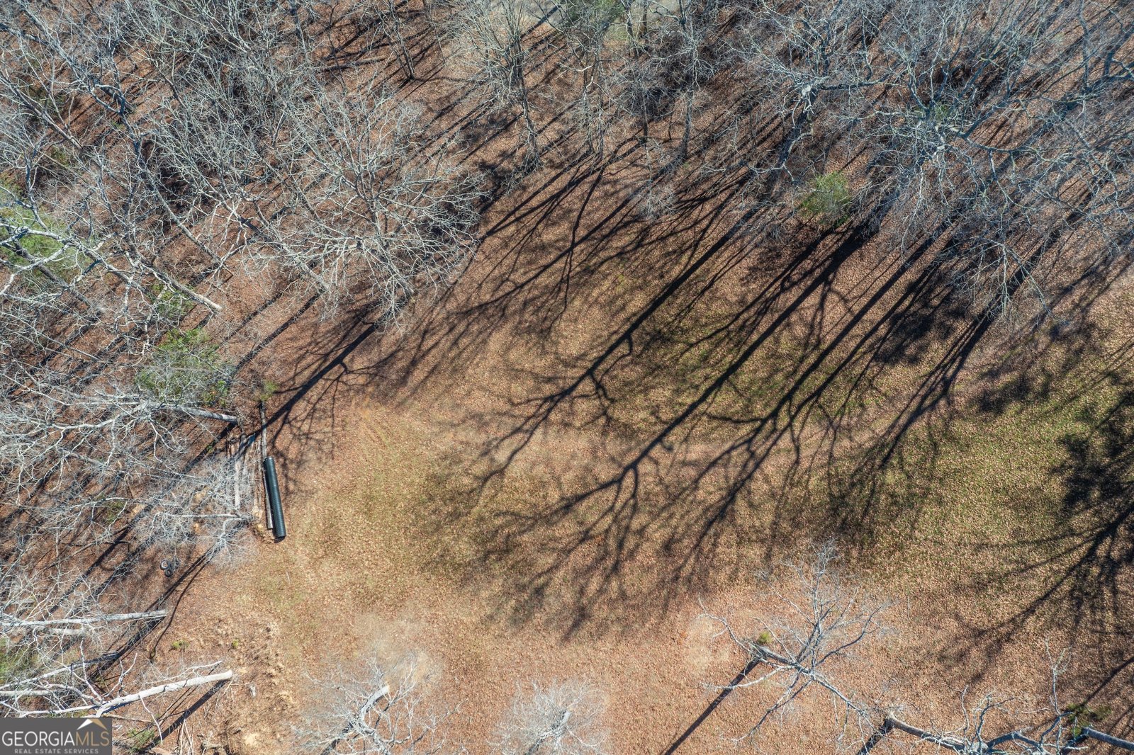 4011 Murphy Highway Mineral Bluff - Photo 73