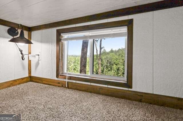 465 White Oak Circle Blue Ridge - Photo 13