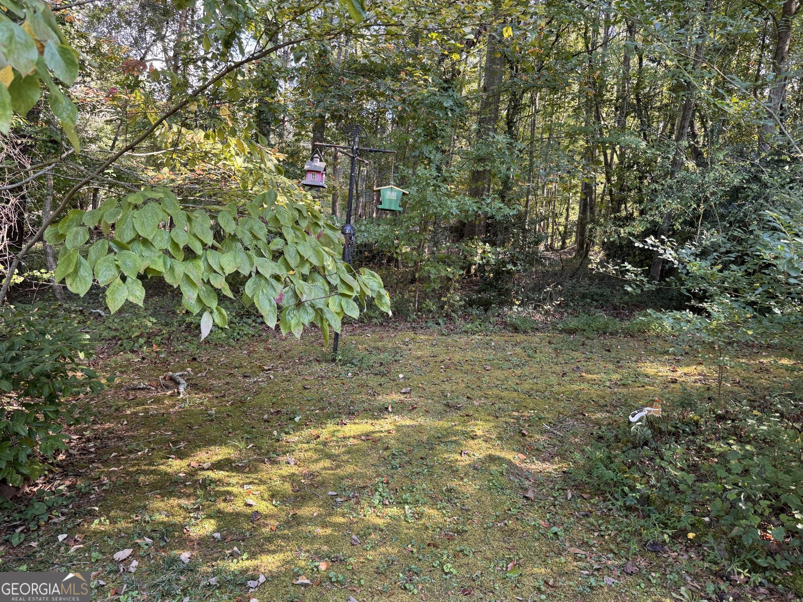 246 Woodvale Street Clarkesville - Photo 7