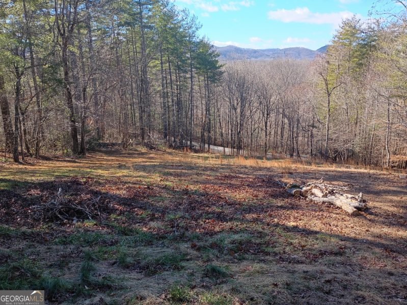 978 Ashley Lane Young Harris - Photo 11