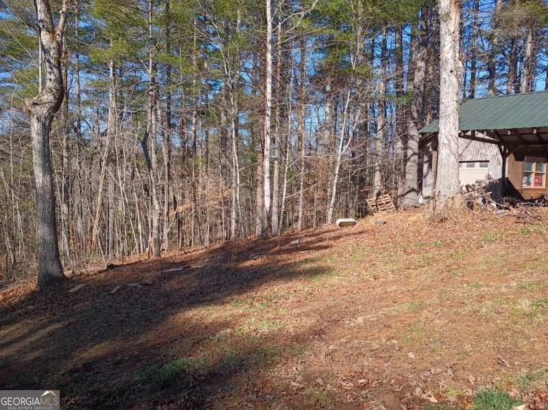 978 Ashley Lane Young Harris - Photo 12