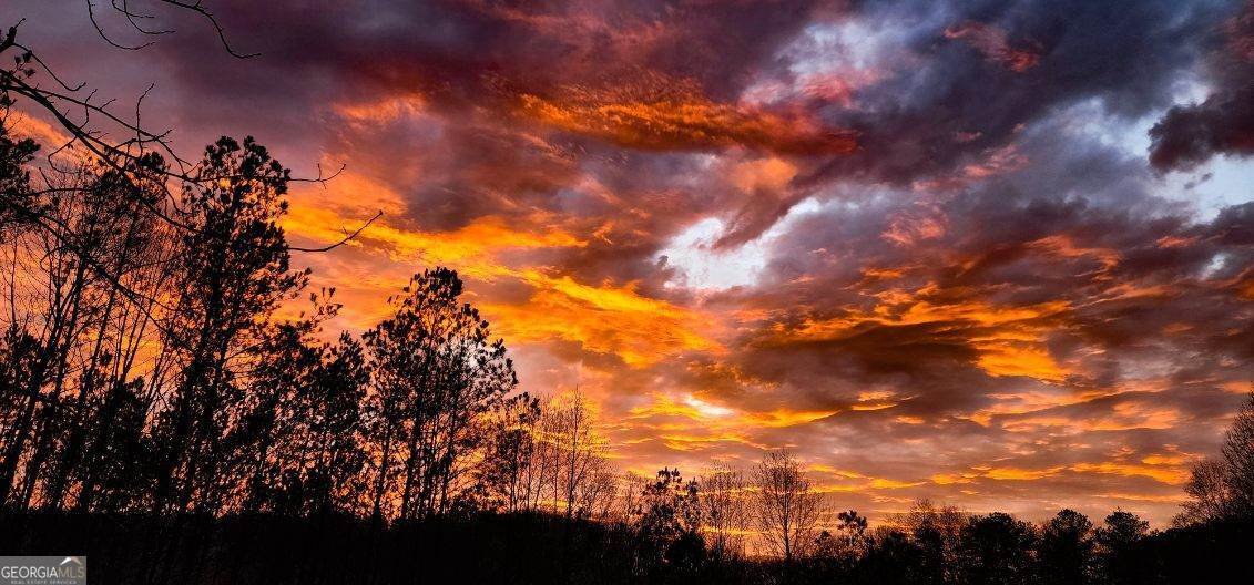 192 Mill Pond Court Jasper - Photo 30