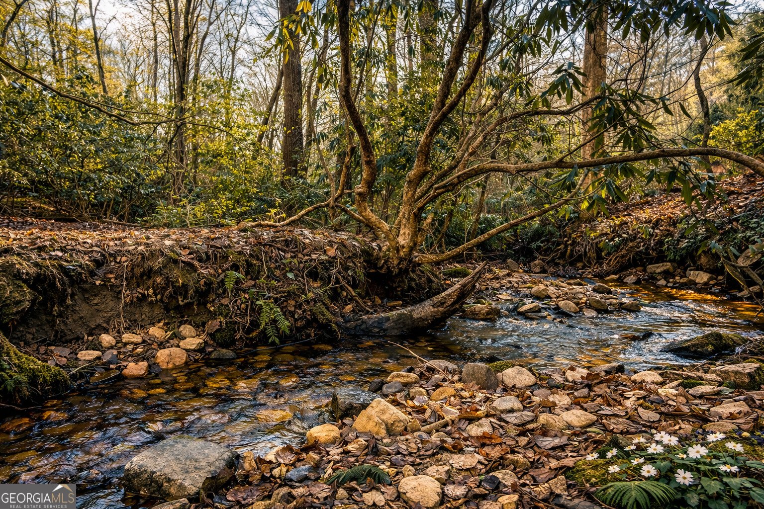 2889 Old Parker Place Rd Ellijay - Photo 36