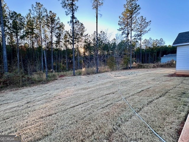 217 Perkins Place Drive Hogansville - Photo 29