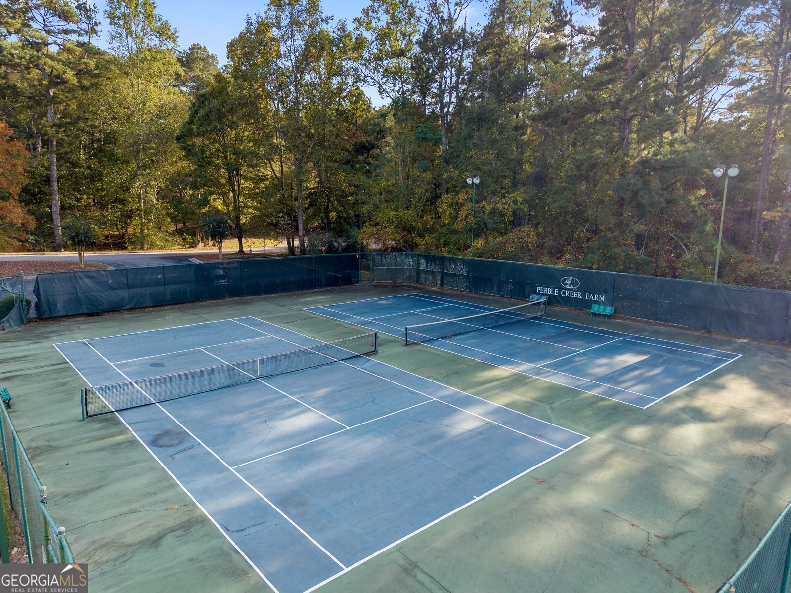 2228 Roseberry Lane Grayson - Photo 47