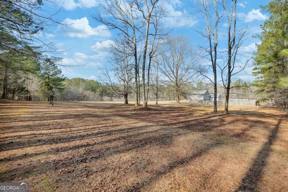 2133 Mann Road Douglasville - Photo 6