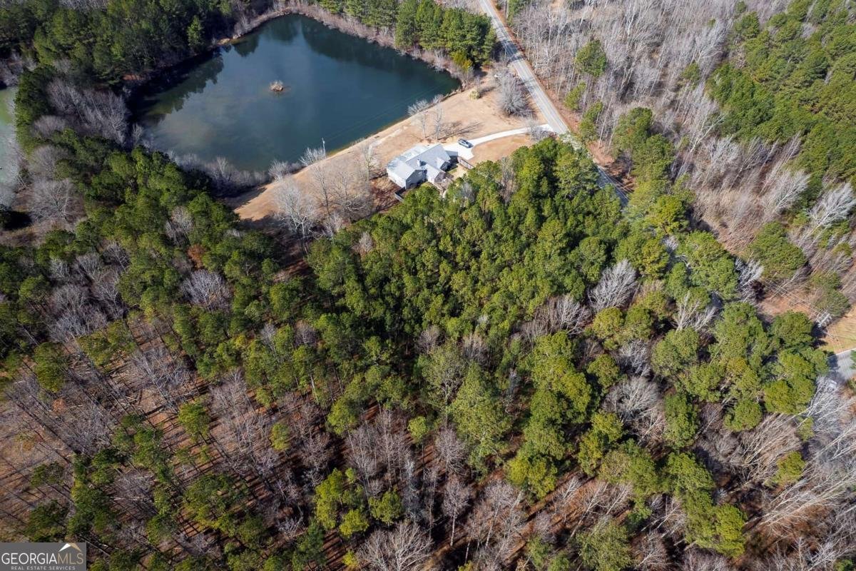 2133 Mann Road Douglasville - Photo 68