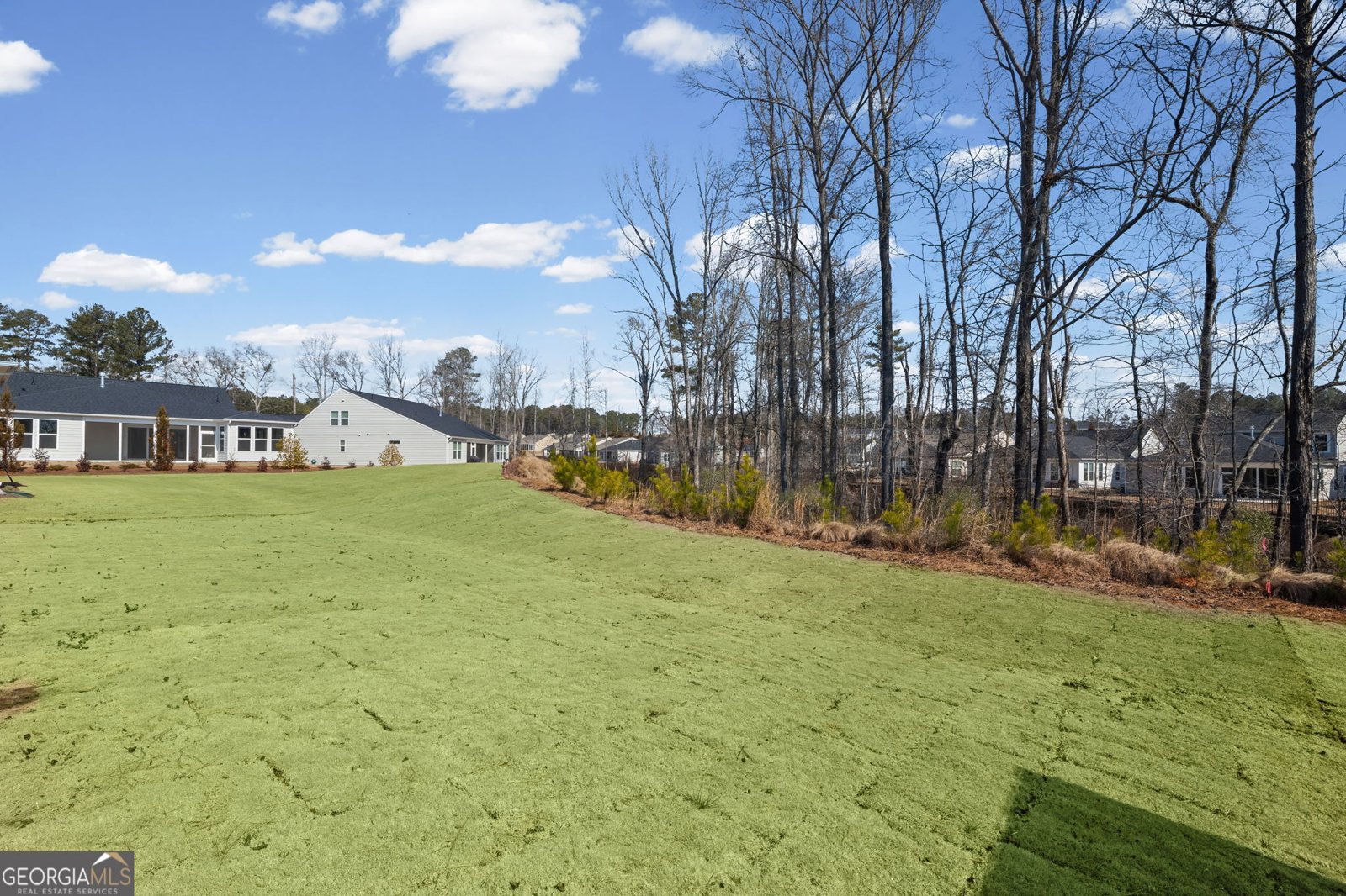 1423 Wild Cherry Ct Griffin - Photo 38