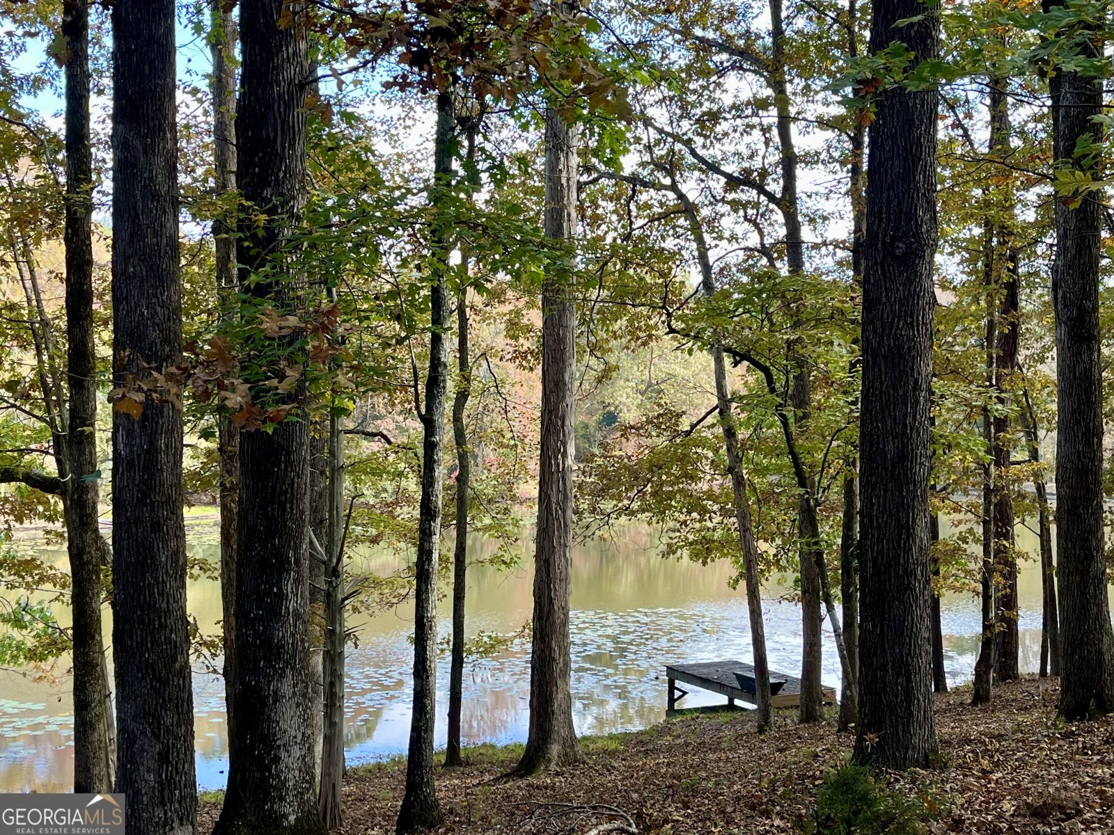 159 May Lane Zebulon - Photo 100