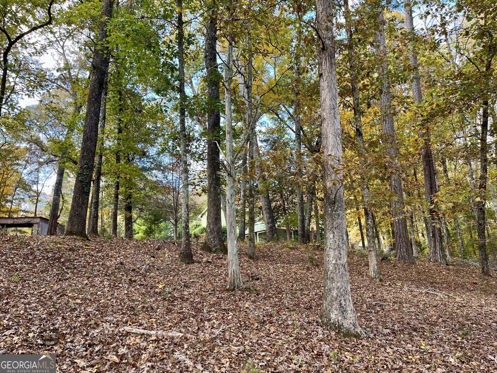 159 May Lane Zebulon - Photo 106