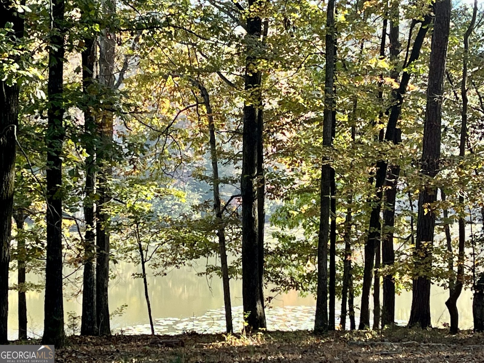 159 May Lane Zebulon - Photo 7