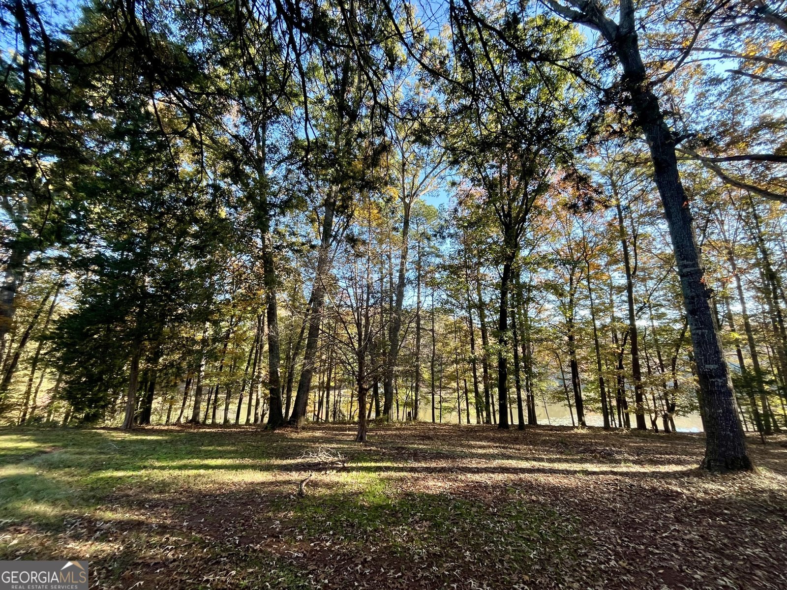 159 May Lane Zebulon - Photo 8