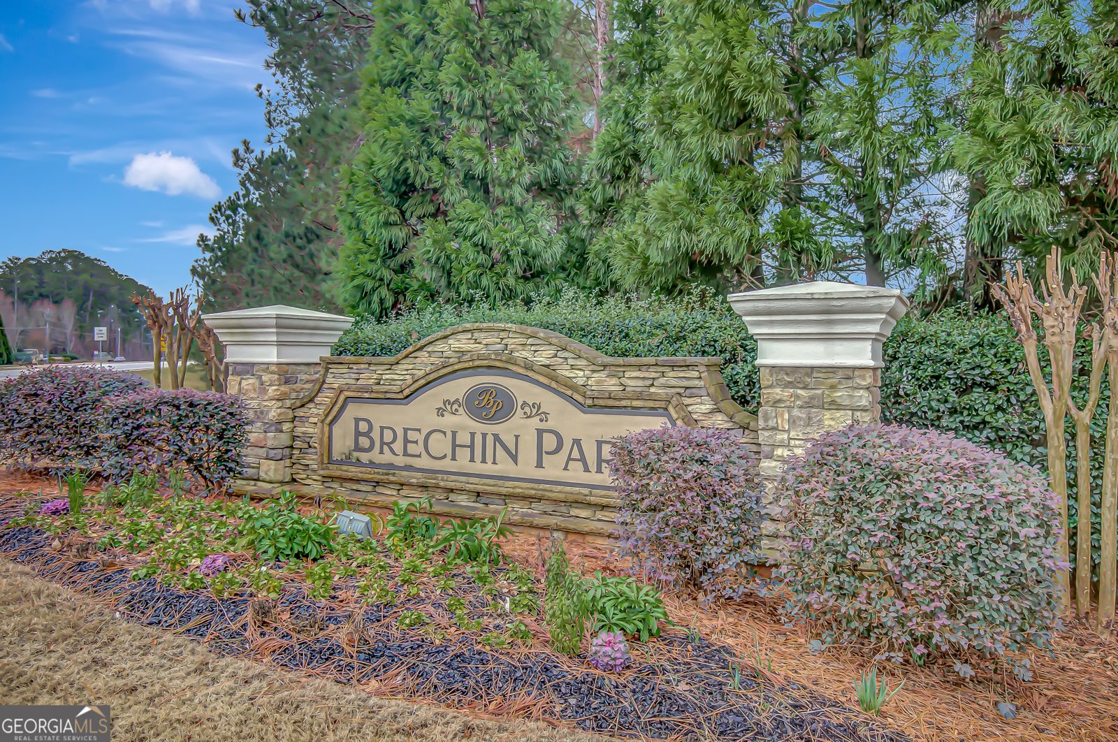 180 Bontura Drive Senoia - Photo 24