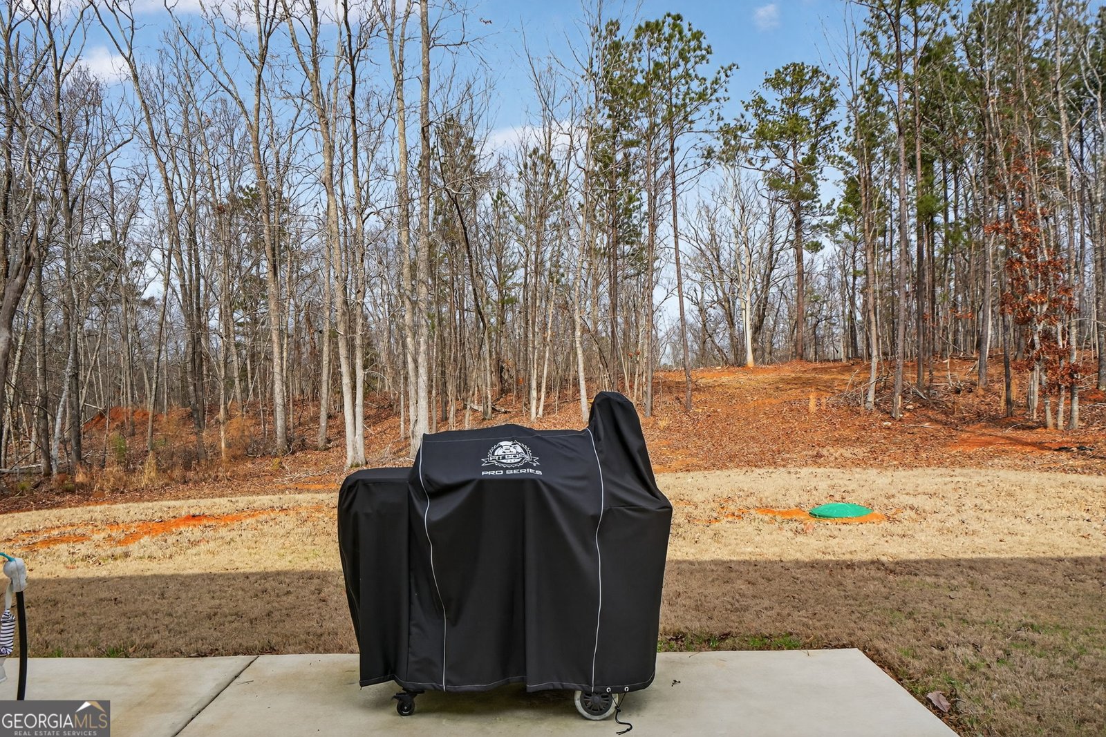 125 Red Oak Drive Barnesville - Photo 30