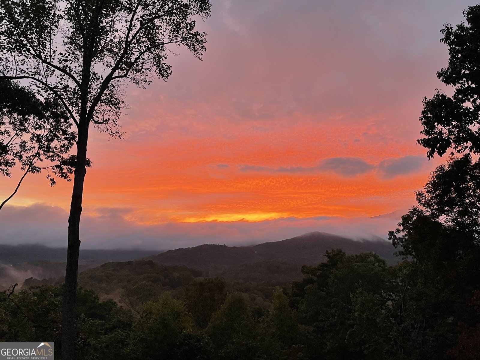 6341 Laurel Lane Young Harris - Photo 49