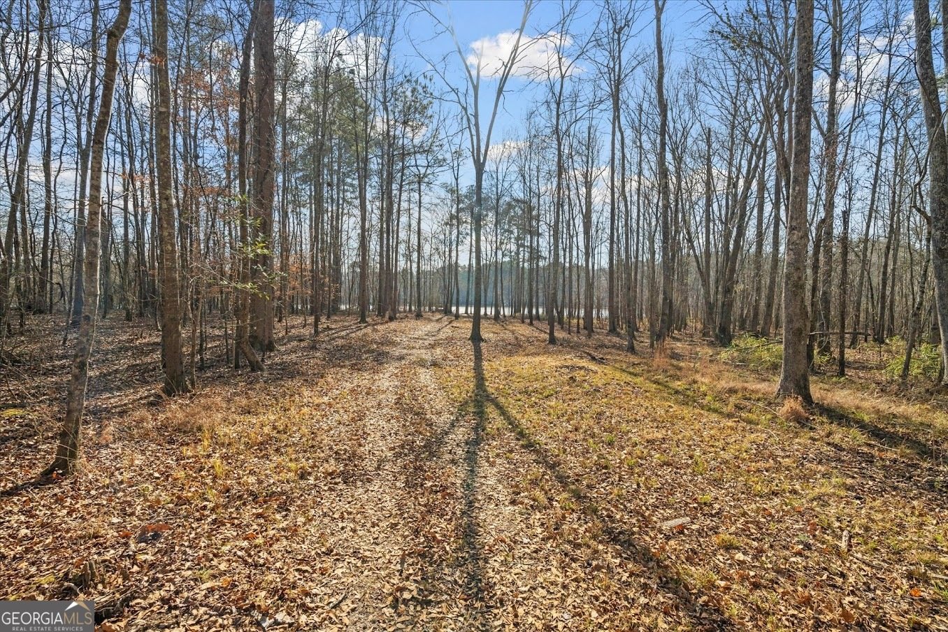 656 Paynes Lake Road Carrollton - Photo 66