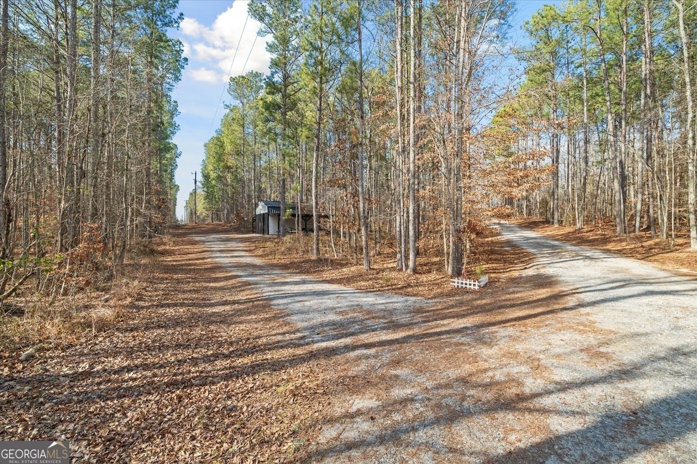 656 Paynes Lake Road Carrollton - Photo 69