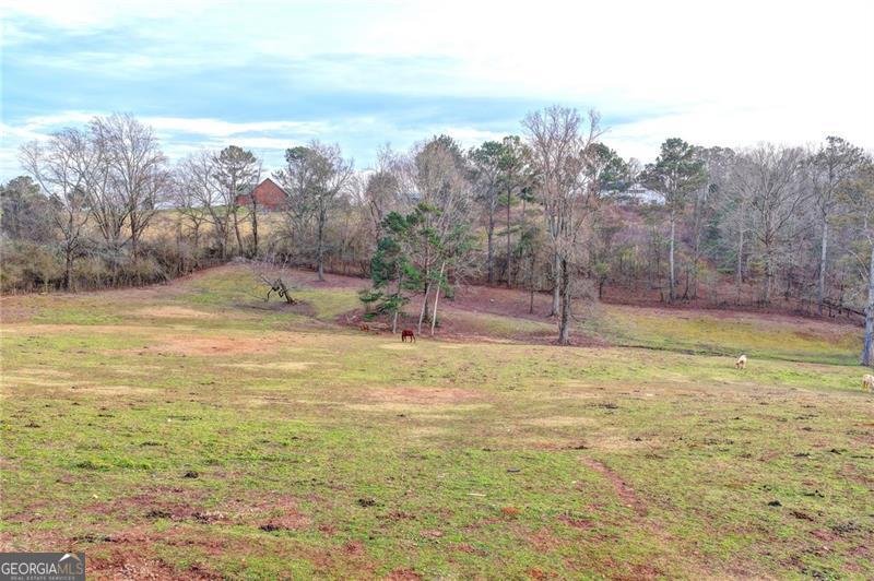 9235 Old Federal Road Ball Ground - Photo 40