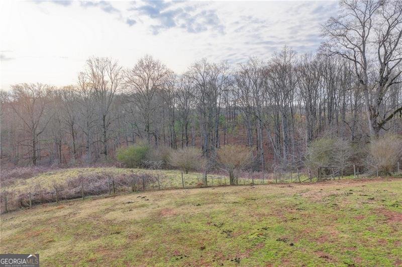 9235 Old Federal Road Ball Ground - Photo 43