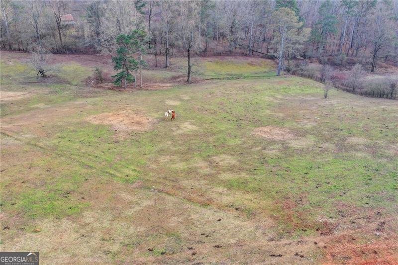 9235 Old Federal Road Ball Ground - Photo 8