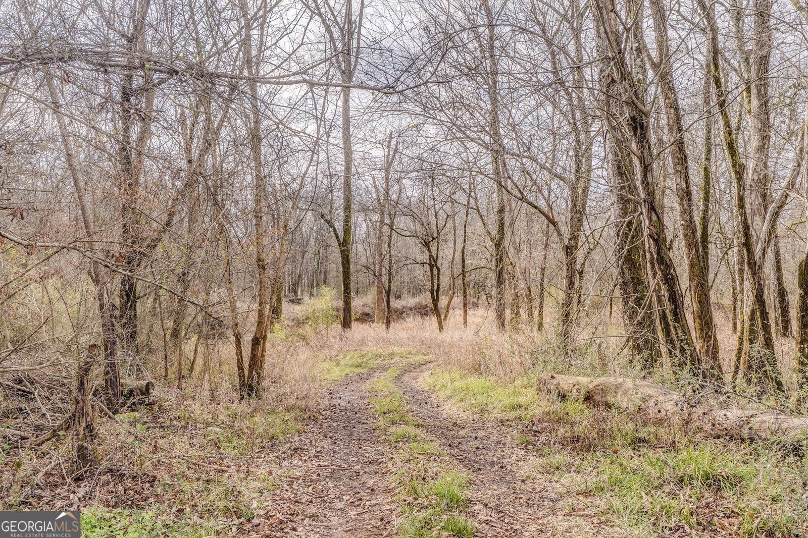 335 Bells Ferry Road Rome - Photo 57