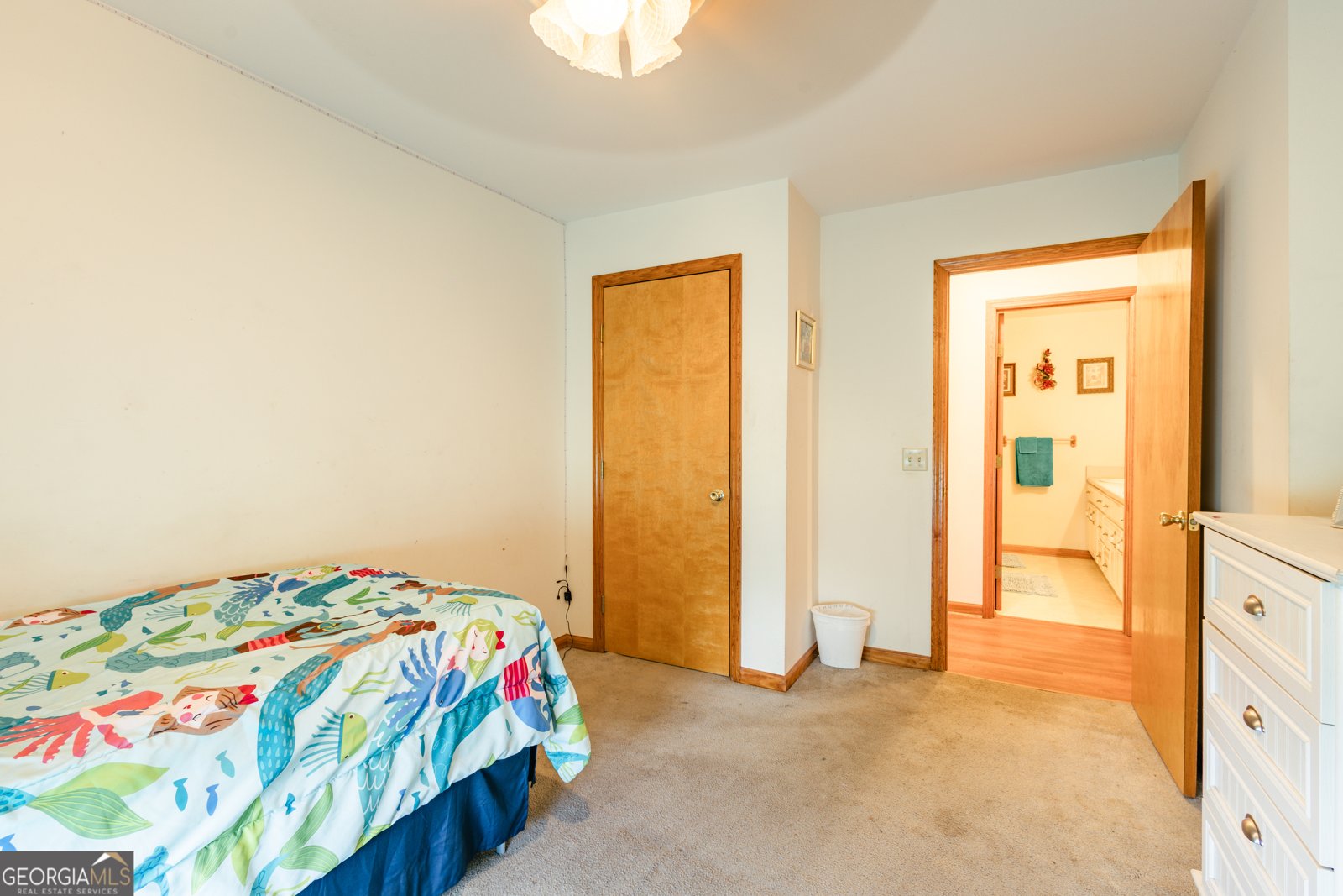 691 Broxton Highway Fitzgerald - Photo 30