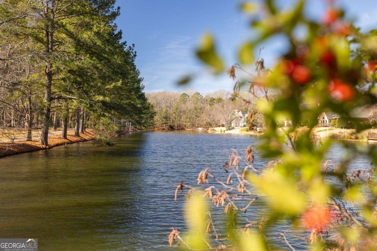 9180 Etching Overlook Duluth - Photo 37