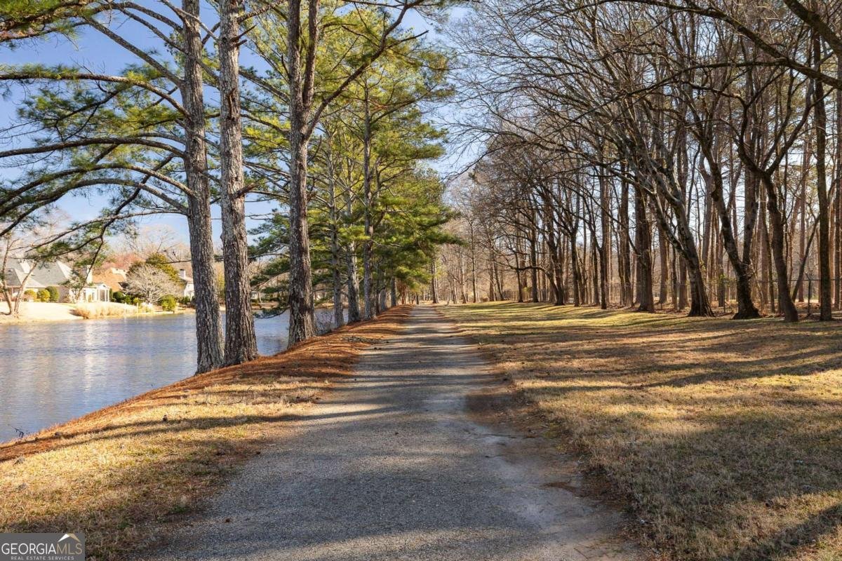 9180 Etching Overlook Duluth - Photo 39