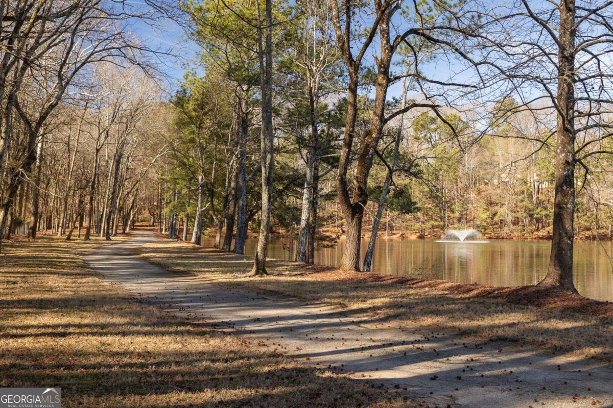 9180 Etching Overlook Duluth - Photo 40