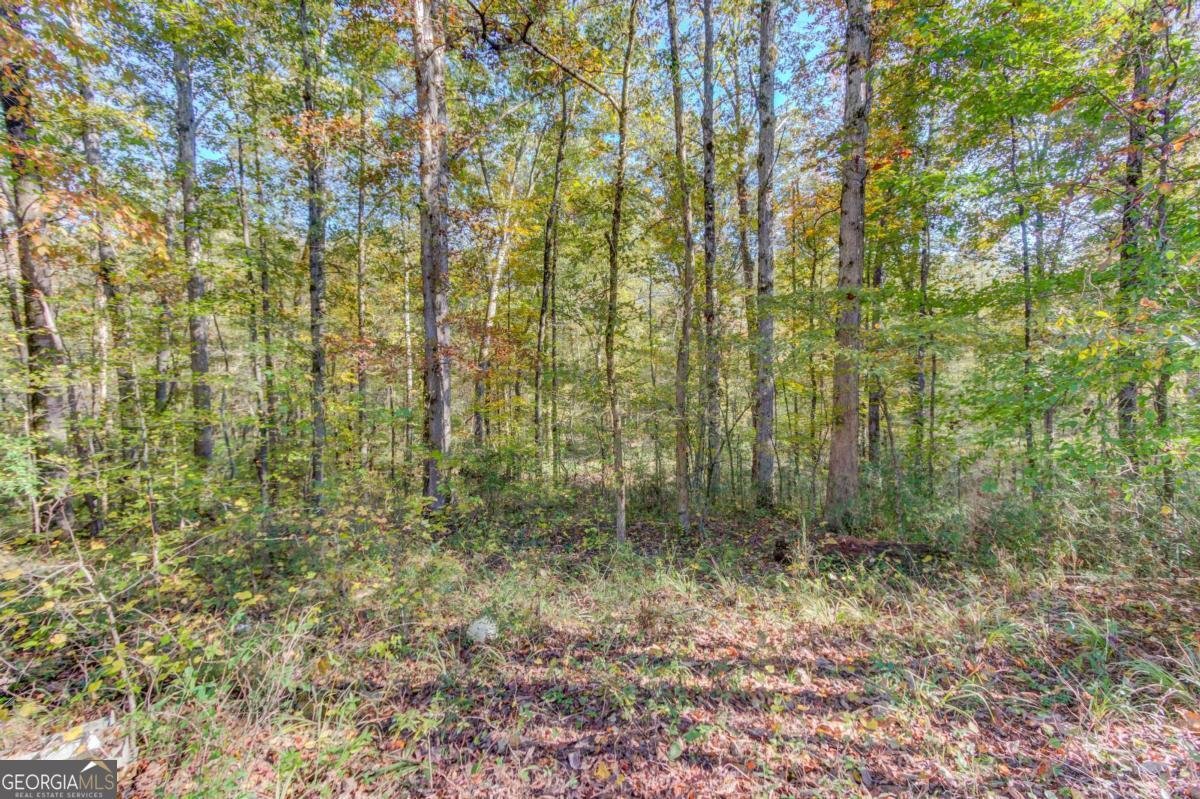 1520 Rivermist Drive Monroe - Photo 50