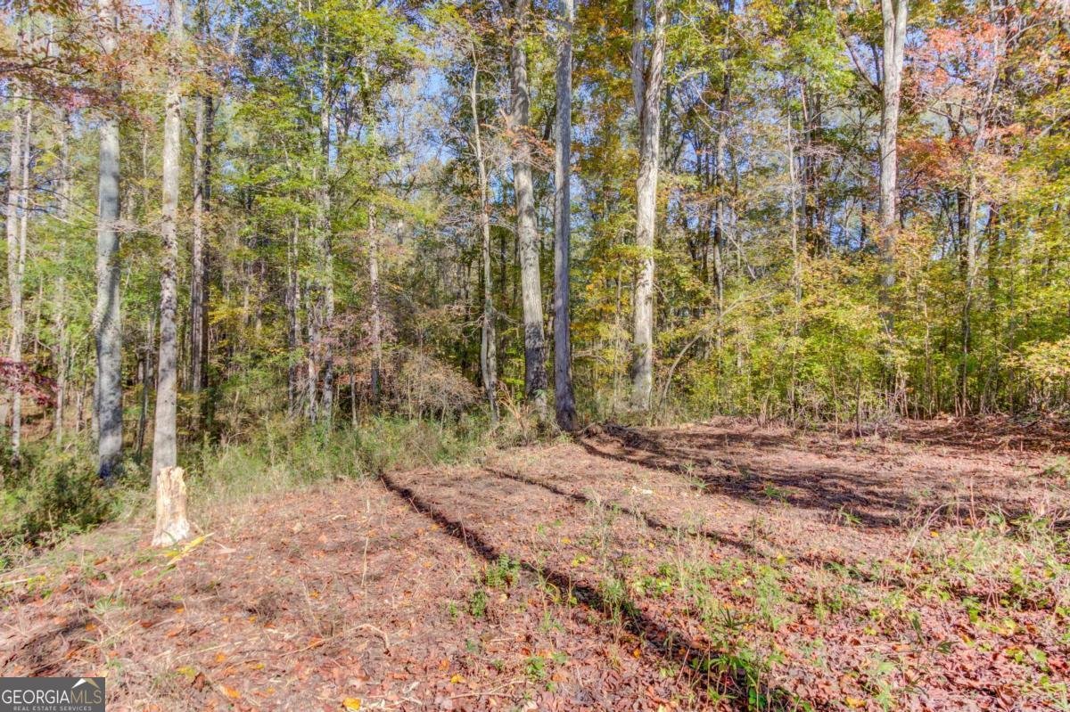 1520 Rivermist Drive Monroe - Photo 51