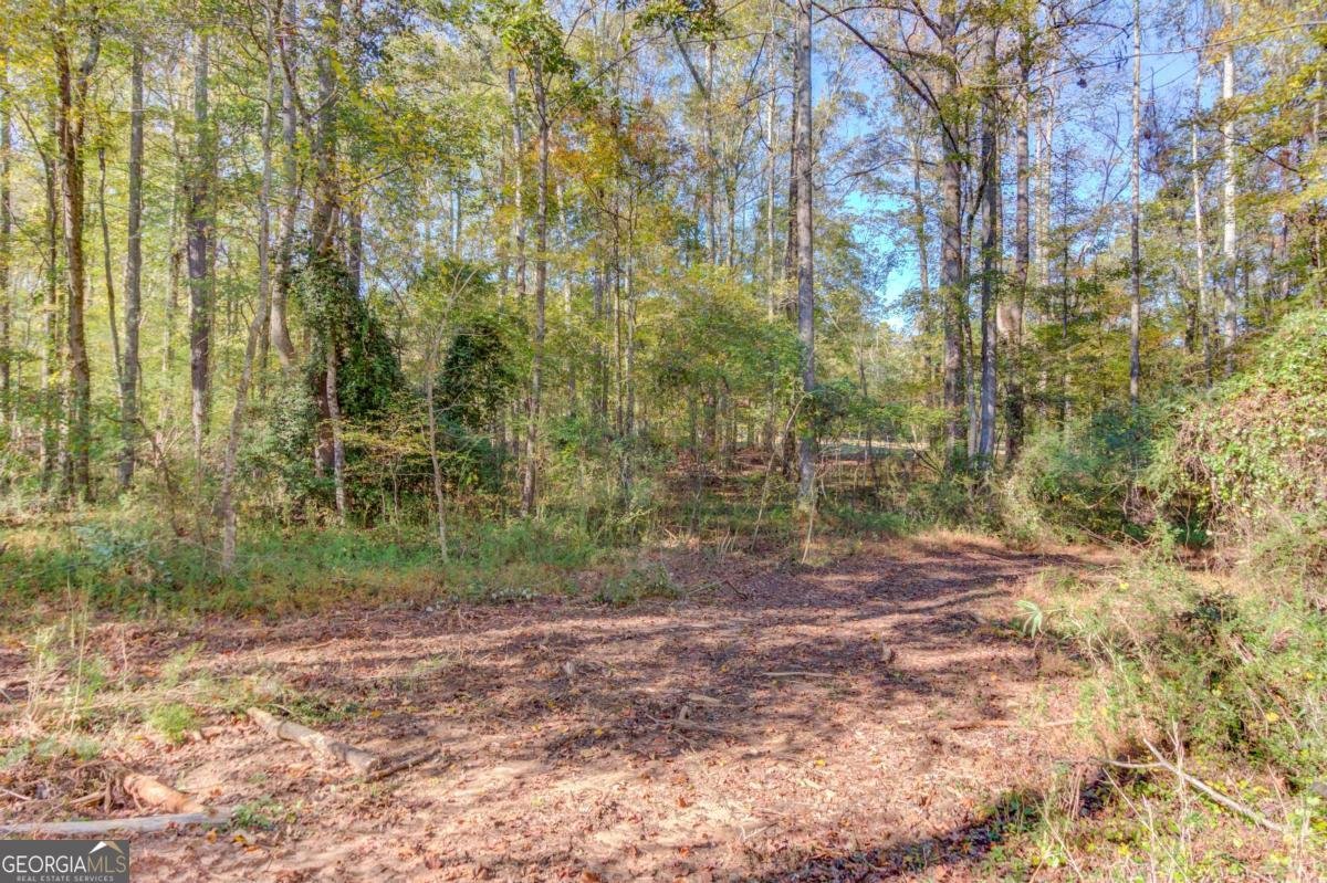 1520 Rivermist Drive Monroe - Photo 52