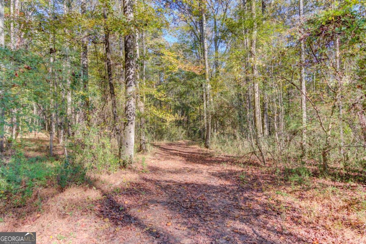 1520 Rivermist Drive Monroe - Photo 53