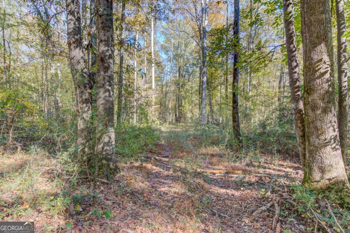 1520 Rivermist Drive Monroe - Photo 54