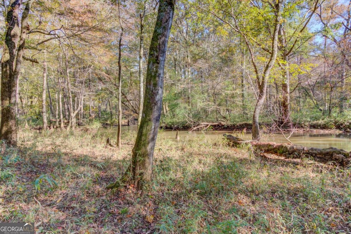 1520 Rivermist Drive Monroe - Photo 56