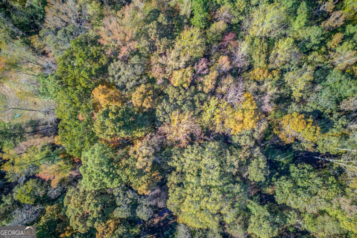 1520 Rivermist Drive Monroe - Photo 59