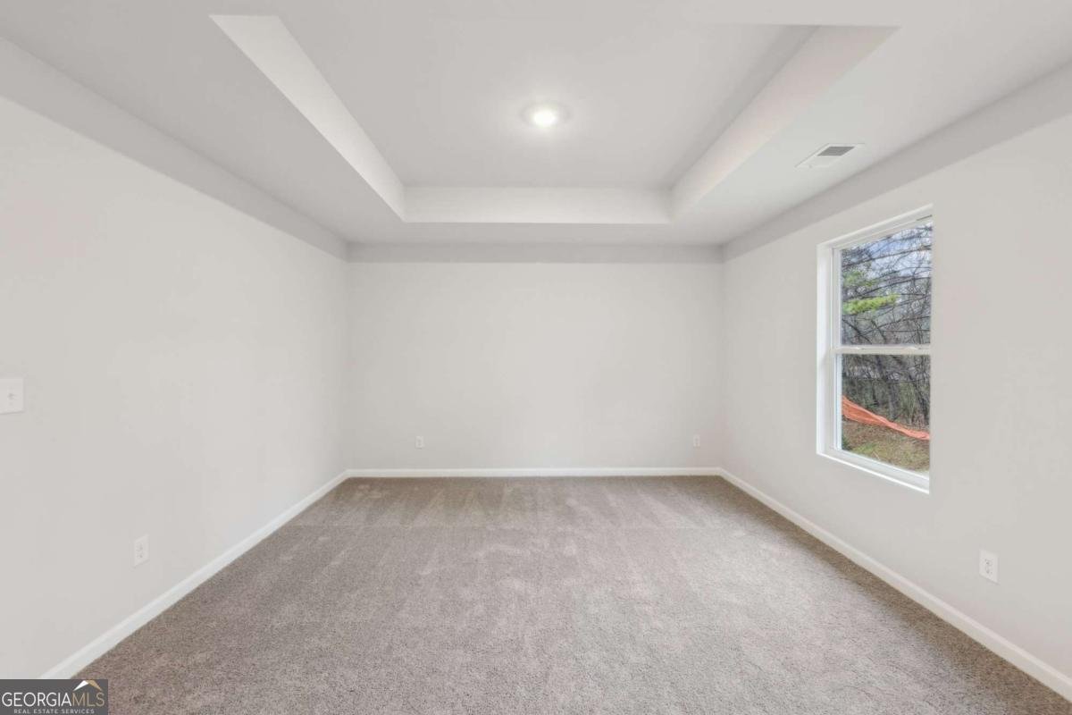 3725 Heron Creek Court Loganville - Photo 36