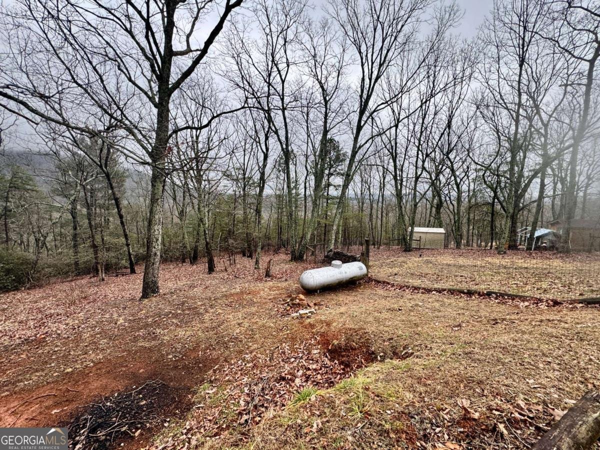 424 Mountain Oak Trail Jasper - Photo 31